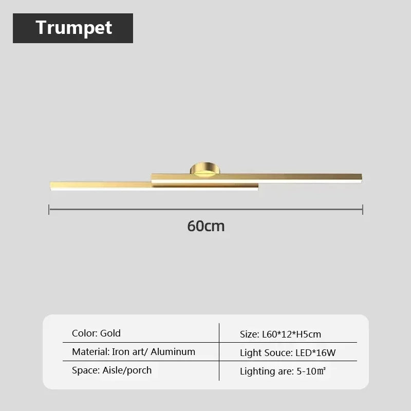 Modern LED Ceiling Light Black Gold 60/80cm celing Lamps For Living Room Entryway Bedroom Restaurant Indoor Decor Lighting