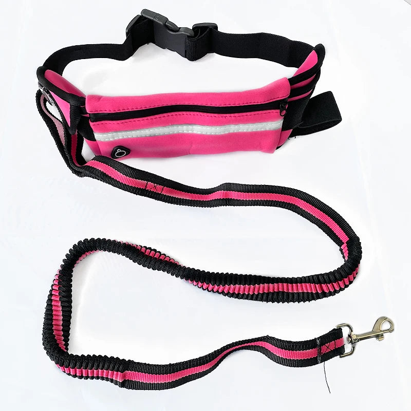 Running Dog Leash Belt for A Run with Dog Reflective Traction Nylon Rope Elastic Belt Dog Running Belt Put Phone Waist Leashes