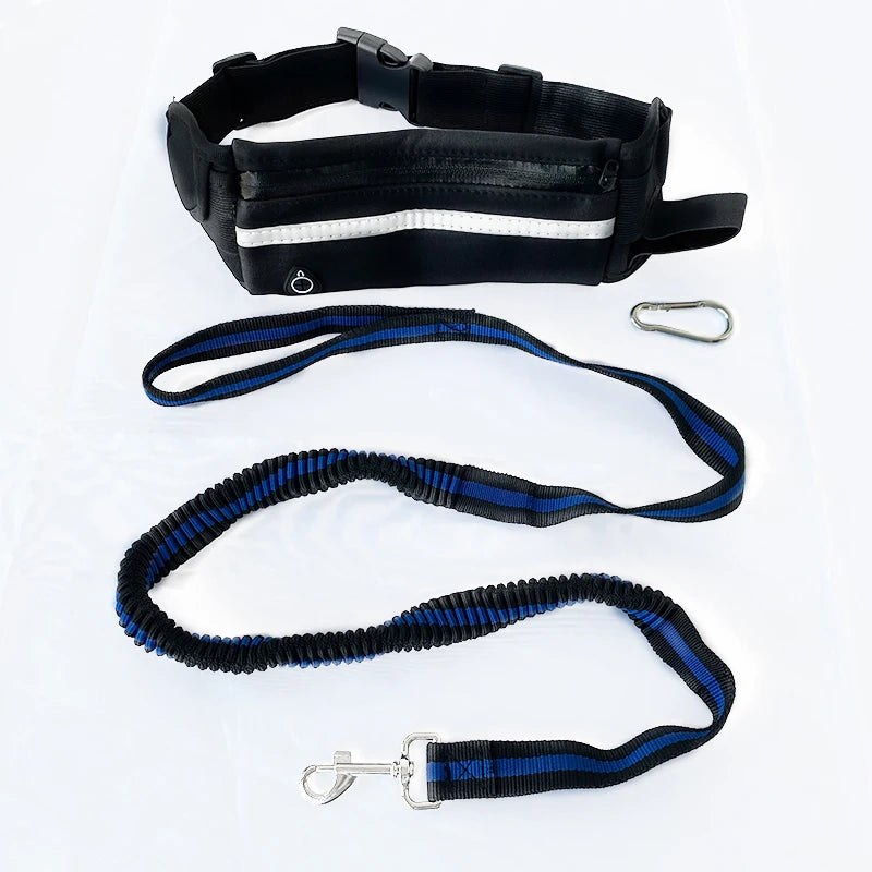 Running Dog Leash Belt for A Run with Dog Reflective Traction Nylon Rope Elastic Belt Dog Running Belt Put Phone Waist Leashes