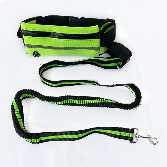 Running Dog Leash Belt for A Run with Dog Reflective Traction Nylon Rope Elastic Belt Dog Running Belt Put Phone Waist Leashes