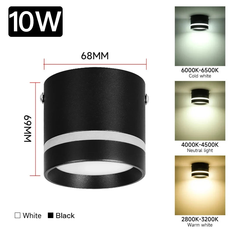 Downlight Led Ceiling Spot Led Lights Fixture for Living Room Home Decor Bedroom Kitchen Celing Lamp Surface mounted Down Light