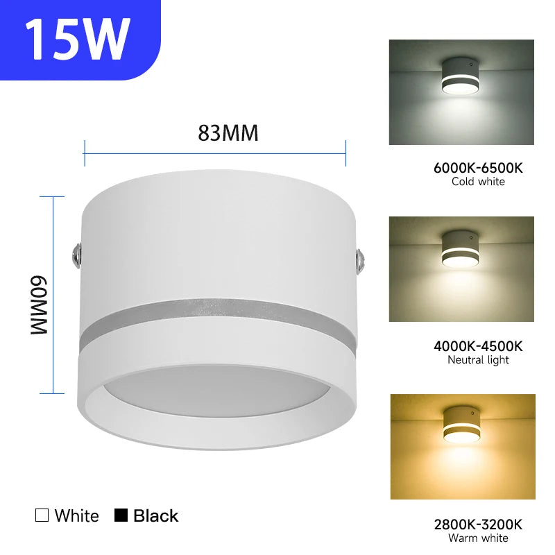 Downlight Led Ceiling Spot Led Lights Fixture for Living Room Home Decor Bedroom Kitchen Celing Lamp Surface mounted Down Light