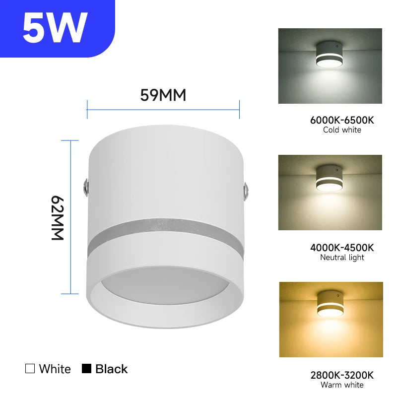 Downlight Led Ceiling Spot Led Lights Fixture for Living Room Home Decor Bedroom Kitchen Celing Lamp Surface mounted Down Light