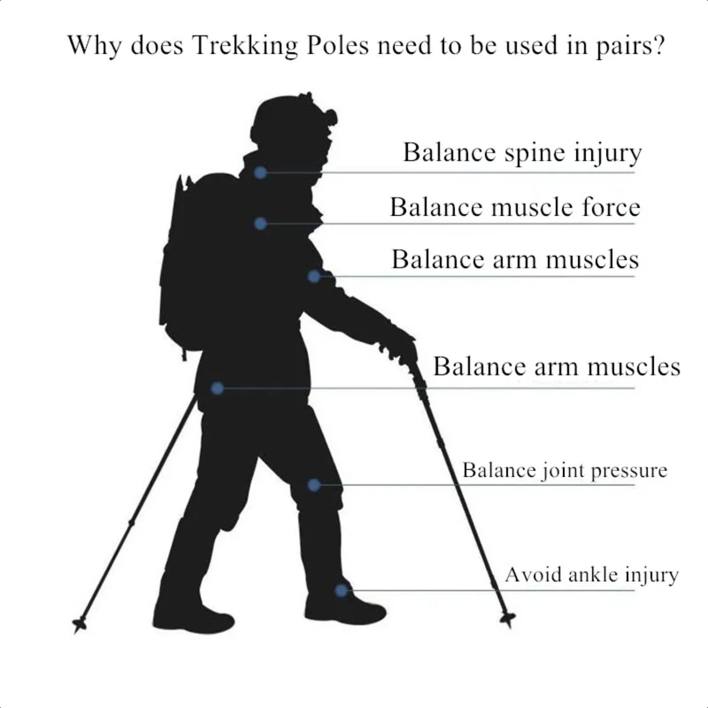 Ultralight, Adjustable, Durable High-quality Nordic Walking Sticks for Adults - NCS-10, Non-slip Trekking Poles Perfect for Hiki