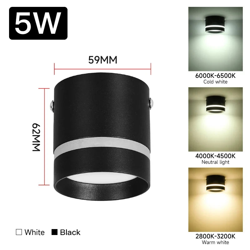 Downlight Led Ceiling Spot Led Lights Fixture for Living Room Home Decor Bedroom Kitchen Celing Lamp Surface mounted Down Light