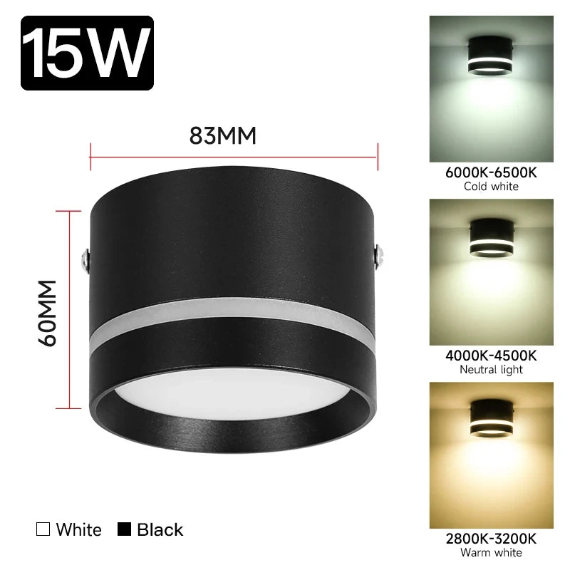 Downlight Led Ceiling Spot Led Lights Fixture for Living Room Home Decor Bedroom Kitchen Celing Lamp Surface mounted Down Light