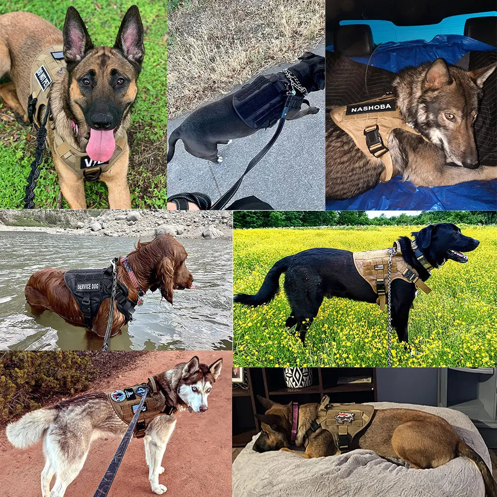 K9 Military Dog Harness Leash Bags Set Pet Tactical Vest Harnesses Walking Training Hunting For Large Dogs German Shepherd