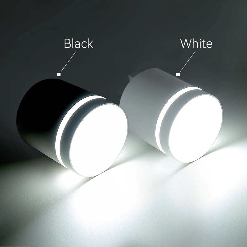 Downlight Led Ceiling Spot Led Lights Fixture for Living Room Home Decor Bedroom Kitchen Celing Lamp Surface mounted Down Light