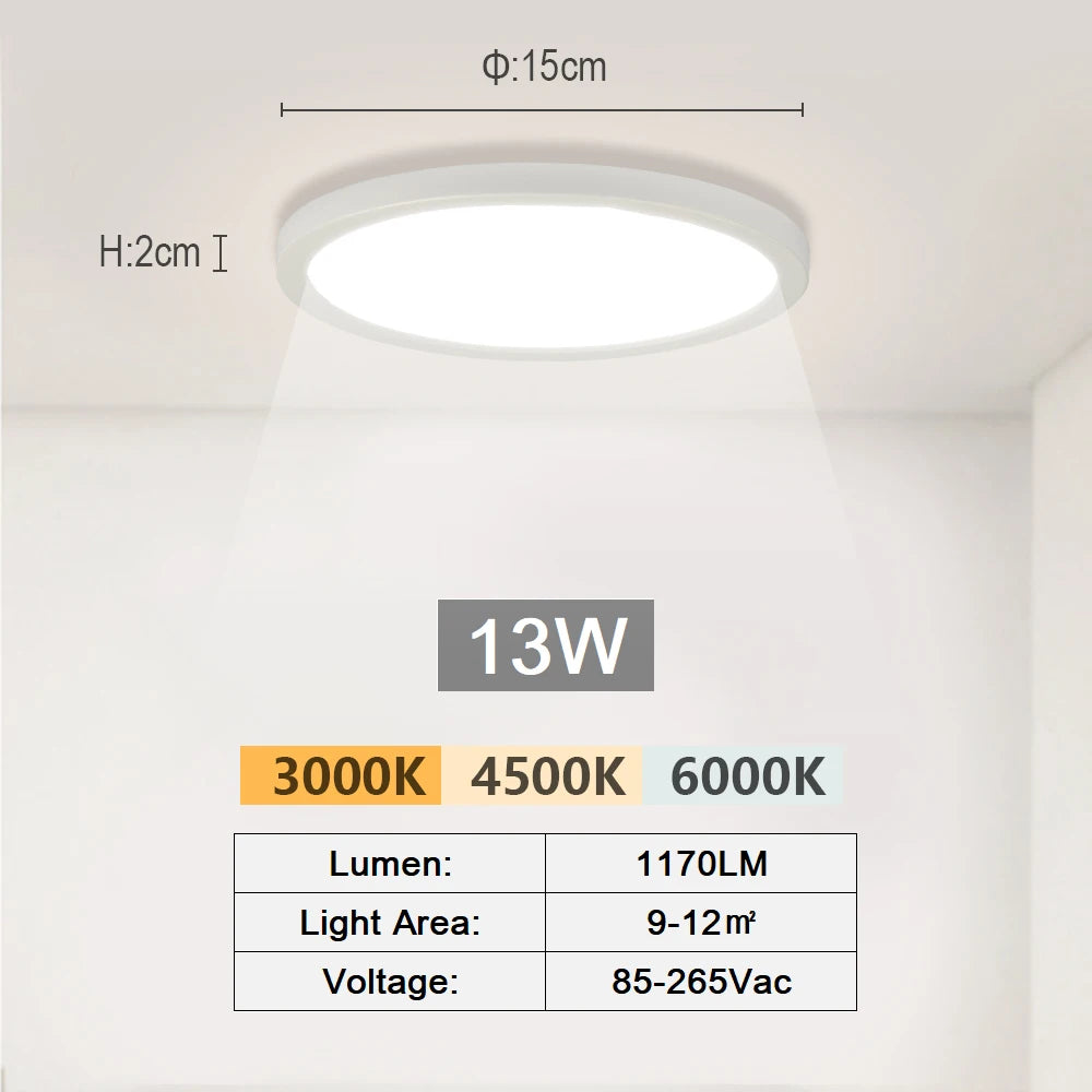 Modern LED Ceiling Light 2 Rings Creative Design Small Aisle Ceiling Lamp Indoor Lighting Fixtures Hallway Balcony Office Lustre